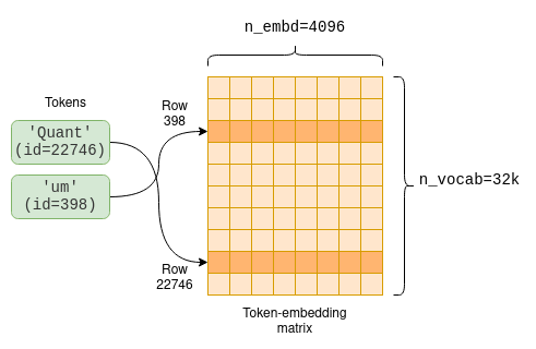 The token-embedding matrix